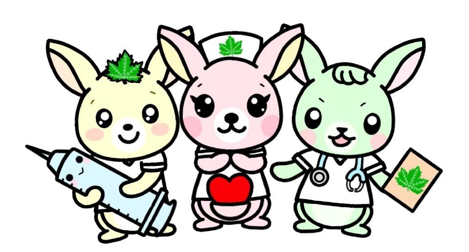 ヒポナス.jpg