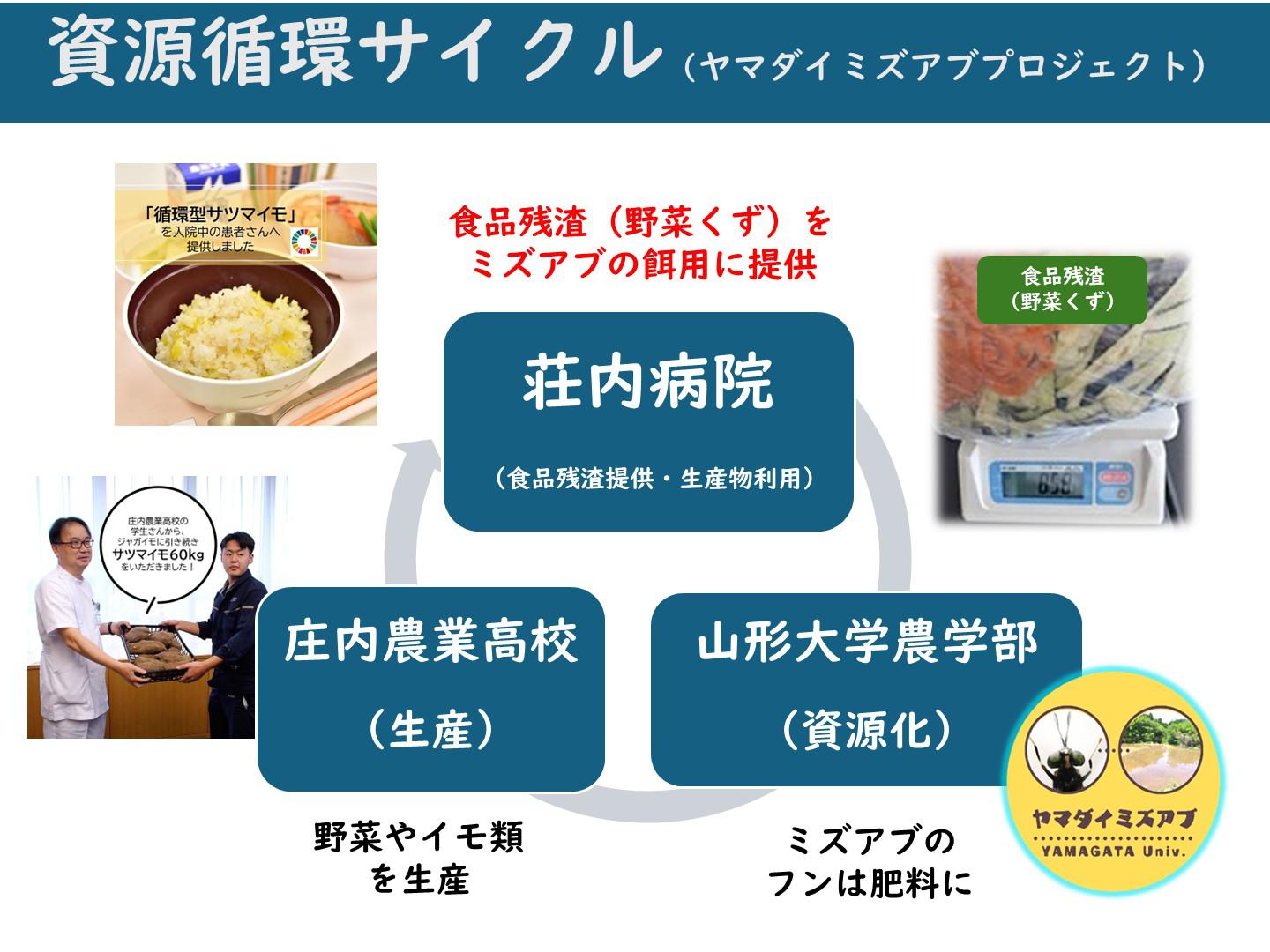 ミズアブ循環型サイクル.jpg